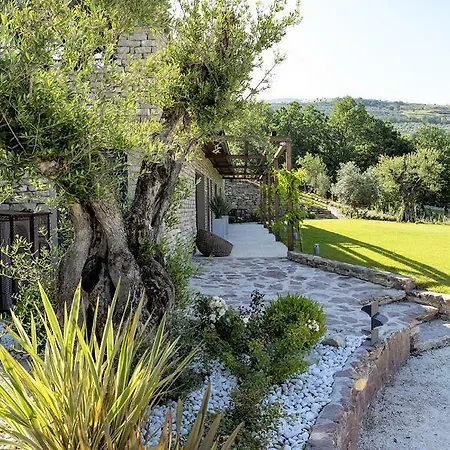 Villa Vita Villa Assisi